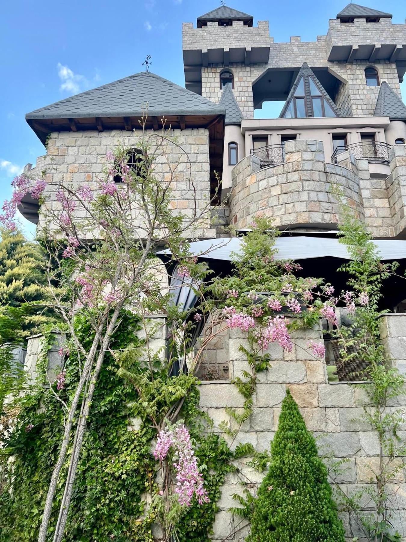 Bed and Breakfast Royal Valentina Castle Ognyanovo  Exterior foto